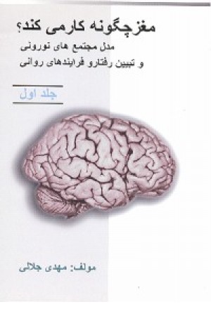 مغز چگونه کار می کند؟ ج1