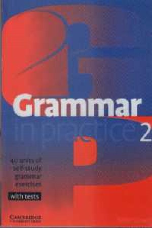 grammar in practice 2