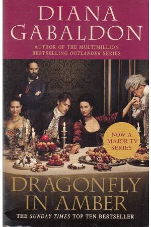 dragonfly in amber