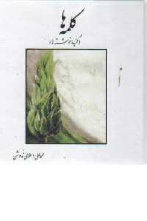 کلمه ها(دبیر)