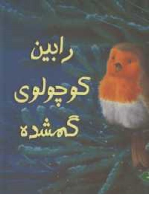 رابین کوچولوی گمشده