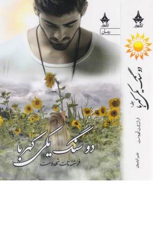 دو سنگ یکی کهربا (2 جلدی)