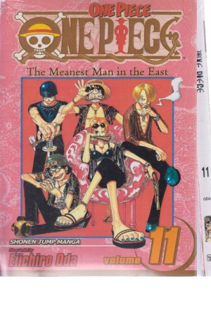 one piece 11