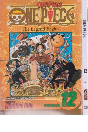 one piece 12