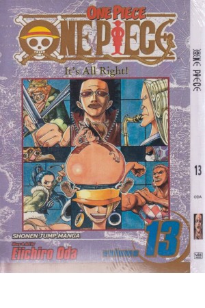 one piece 13