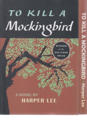 to kill a mockingbird