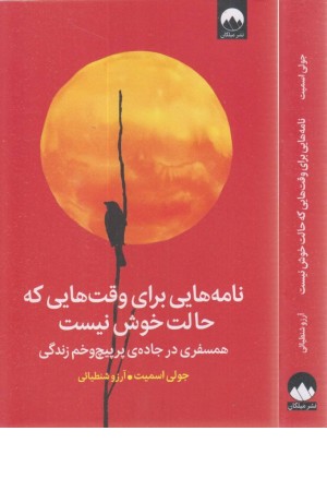 نامه هایی برای وقت هایی که حالت خوش نیست (همسفری در جاده ...)