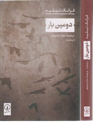 دومین بار دومین بار