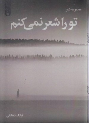 تو را شعر نمی کنم