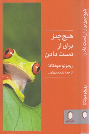 هیچ چیز برای از دست دادن