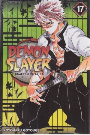 demon slayer 17
